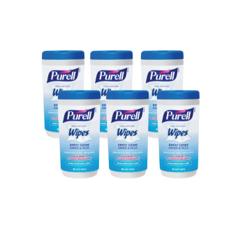 Purell 消毒湿巾 40抽*6筒